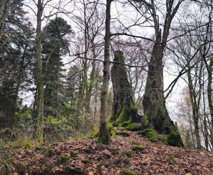 Ruine Straubenhardt, Germany